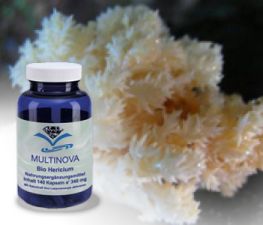 Hericium Bio